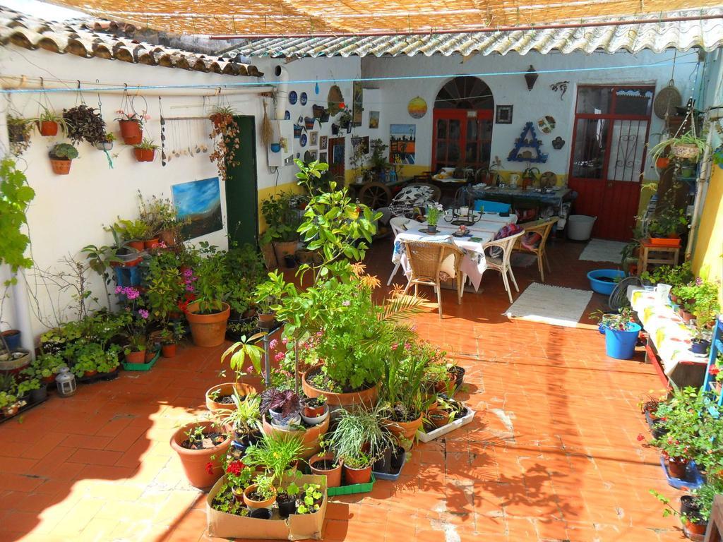 Bed and Breakfast Casa Annette à Cortelazor Extérieur photo